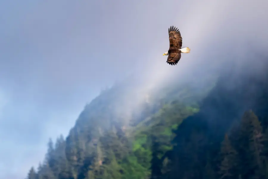 1740060620192 joseph corl h 97 E Jj T9gk unsplash