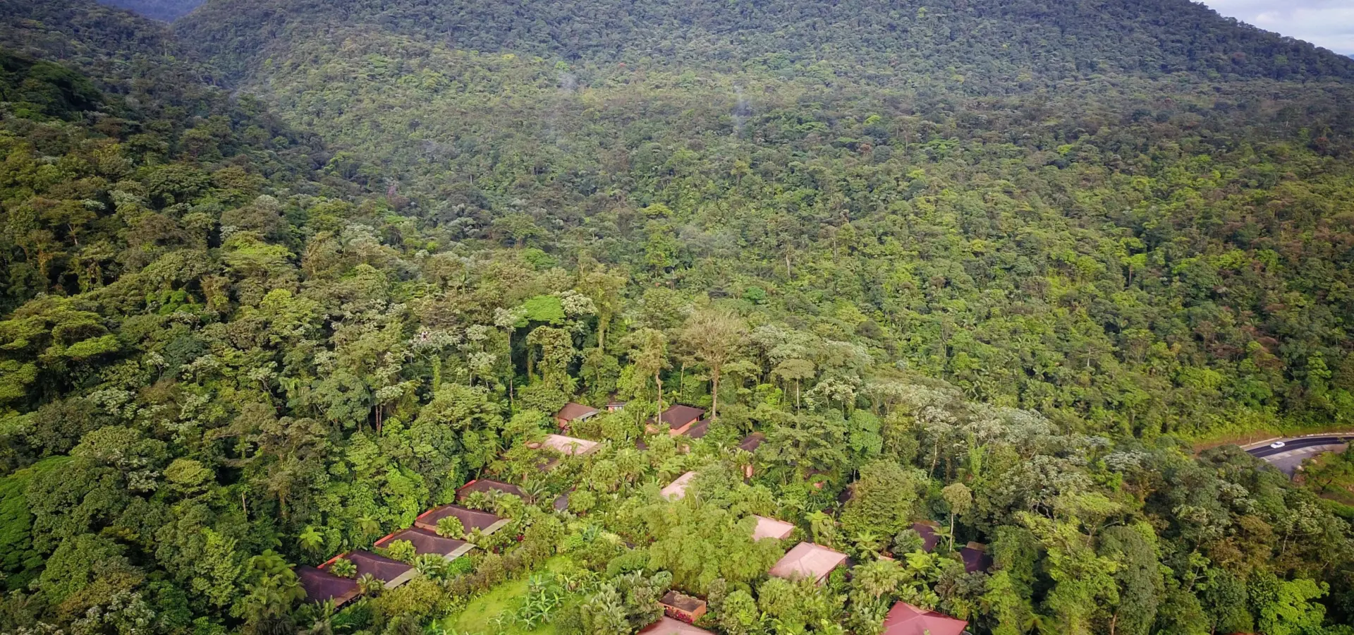 Dji 0316 01