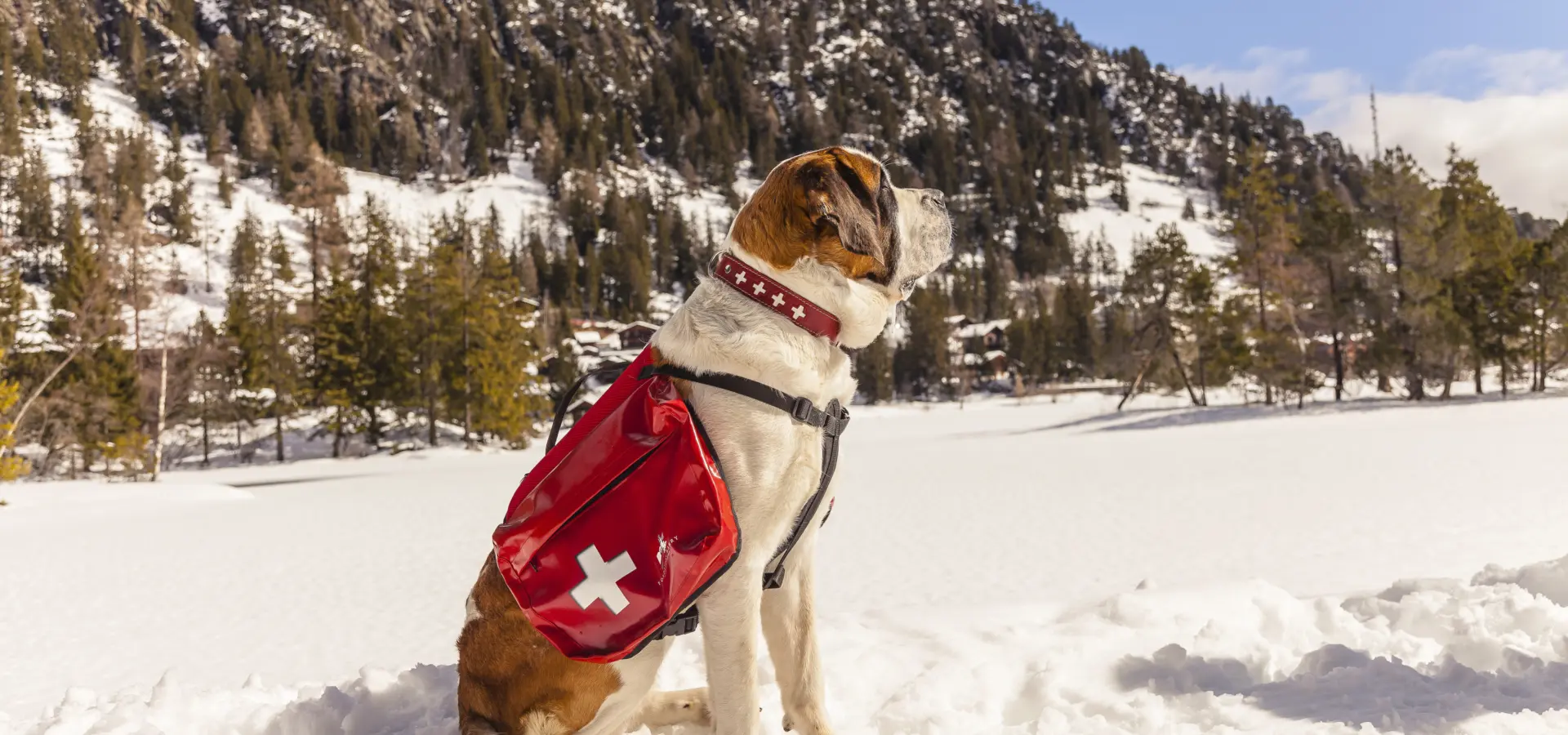 Barryland mg 5114 valais wallis promotion tam berger