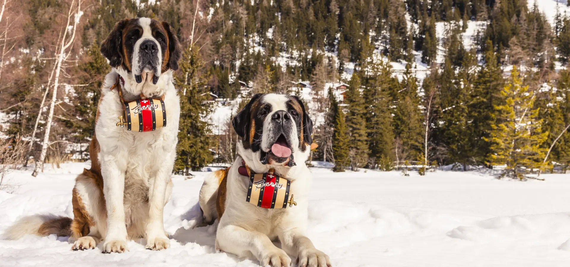 Barryland mg 4843 valais wallis promotion tam berger1