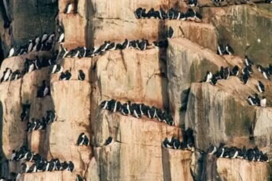 1776077761568himanshu saraf 6cyzuhxdy9s unsplash