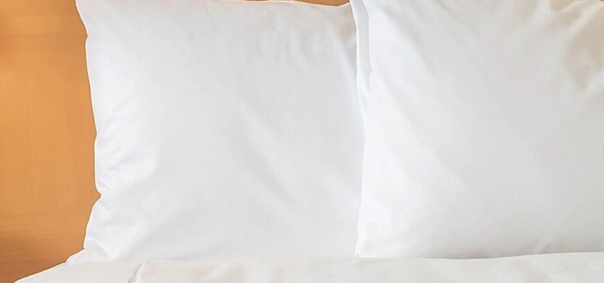 Holiday inn express new delhi 6939056919 2x1