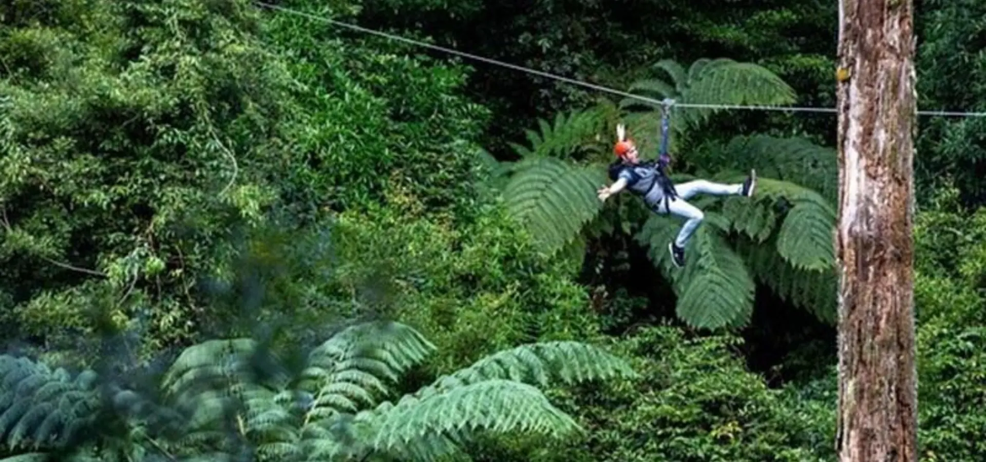 1780977716236 epic rotorua left