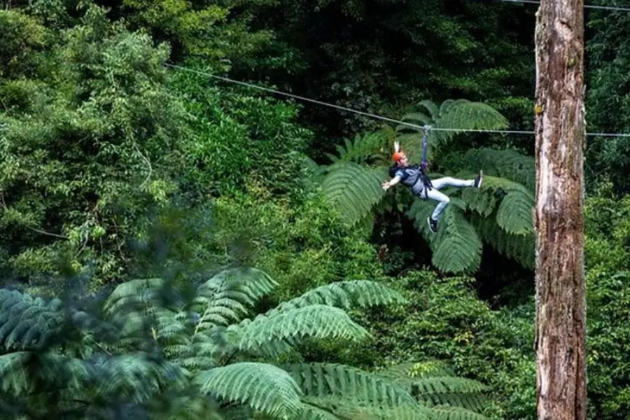 1780977716236 epic rotorua left