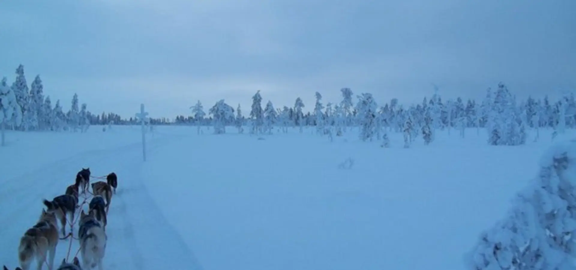 163268 491891725962 6696409 n