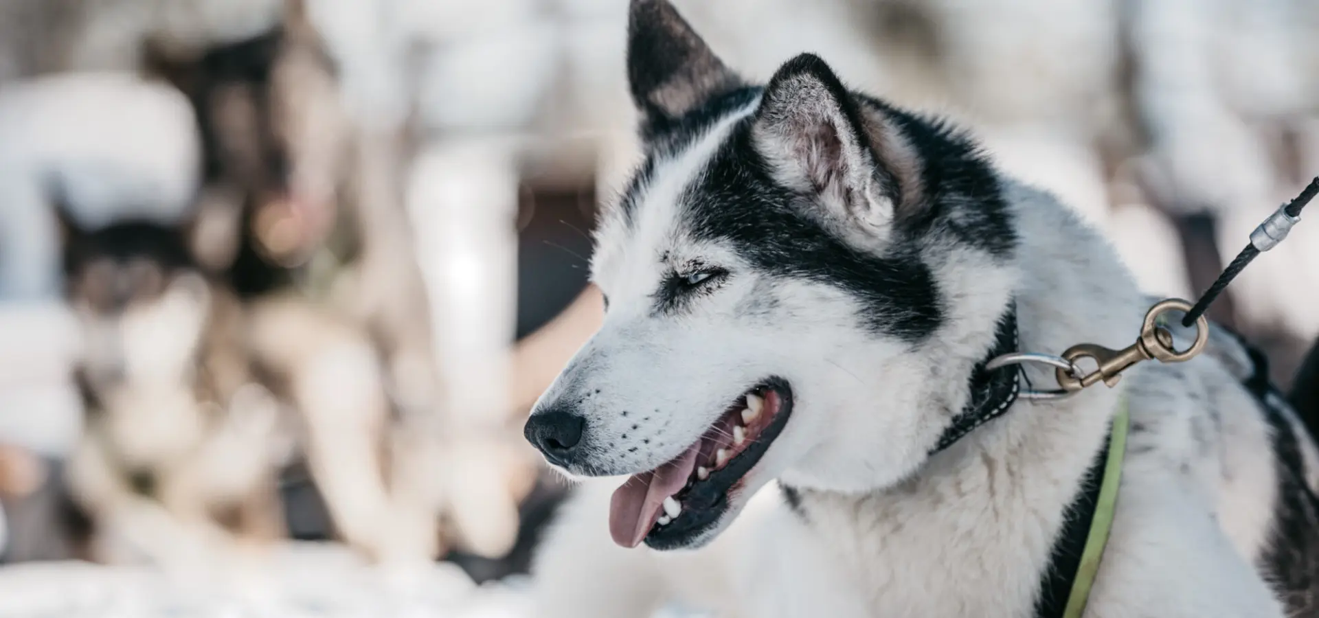 029d5a60 185c 484f 9ee4 4074cf486670