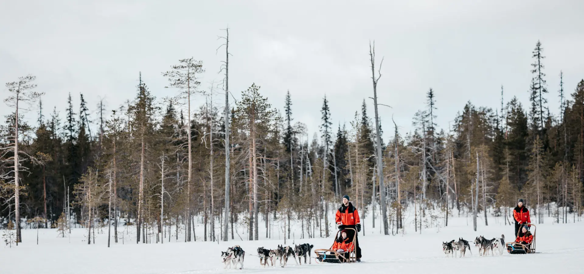 8fe1bfae fec3 4041 996f 9cb42a40aa88