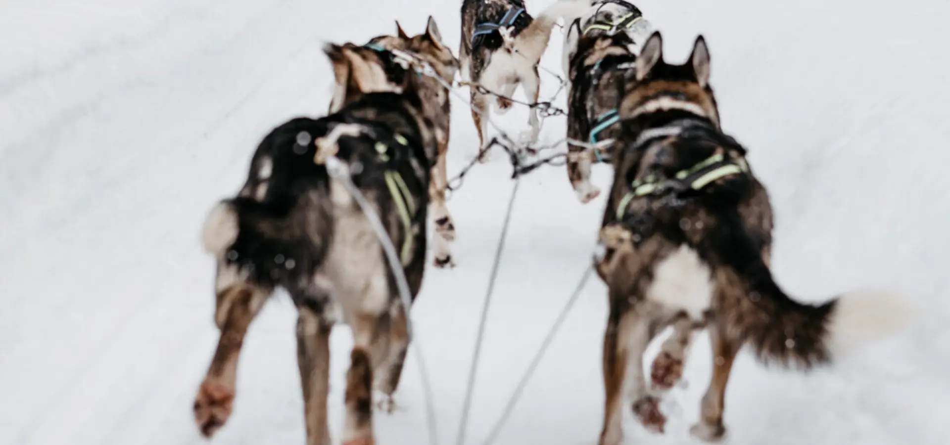 Ef5de54f 1d8d 40f4 903f 1abb05705eaa