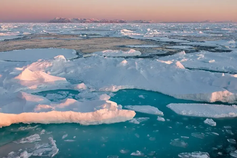 1776081871344pack iced png