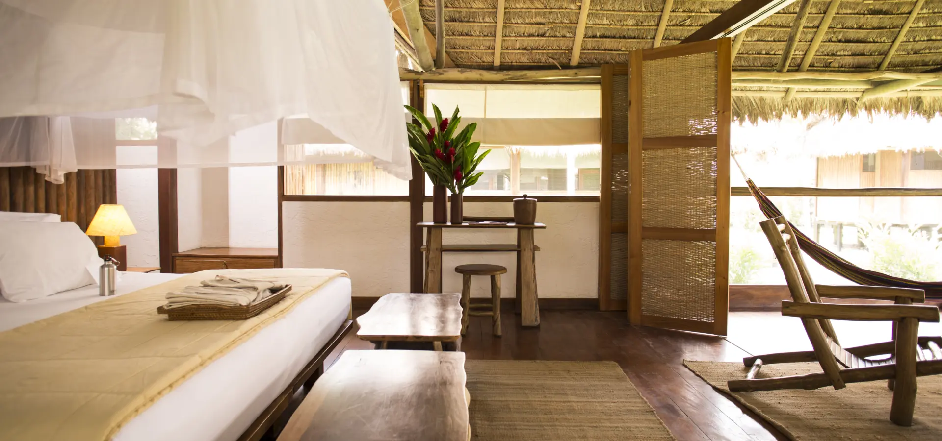 Itra amazonica suite2