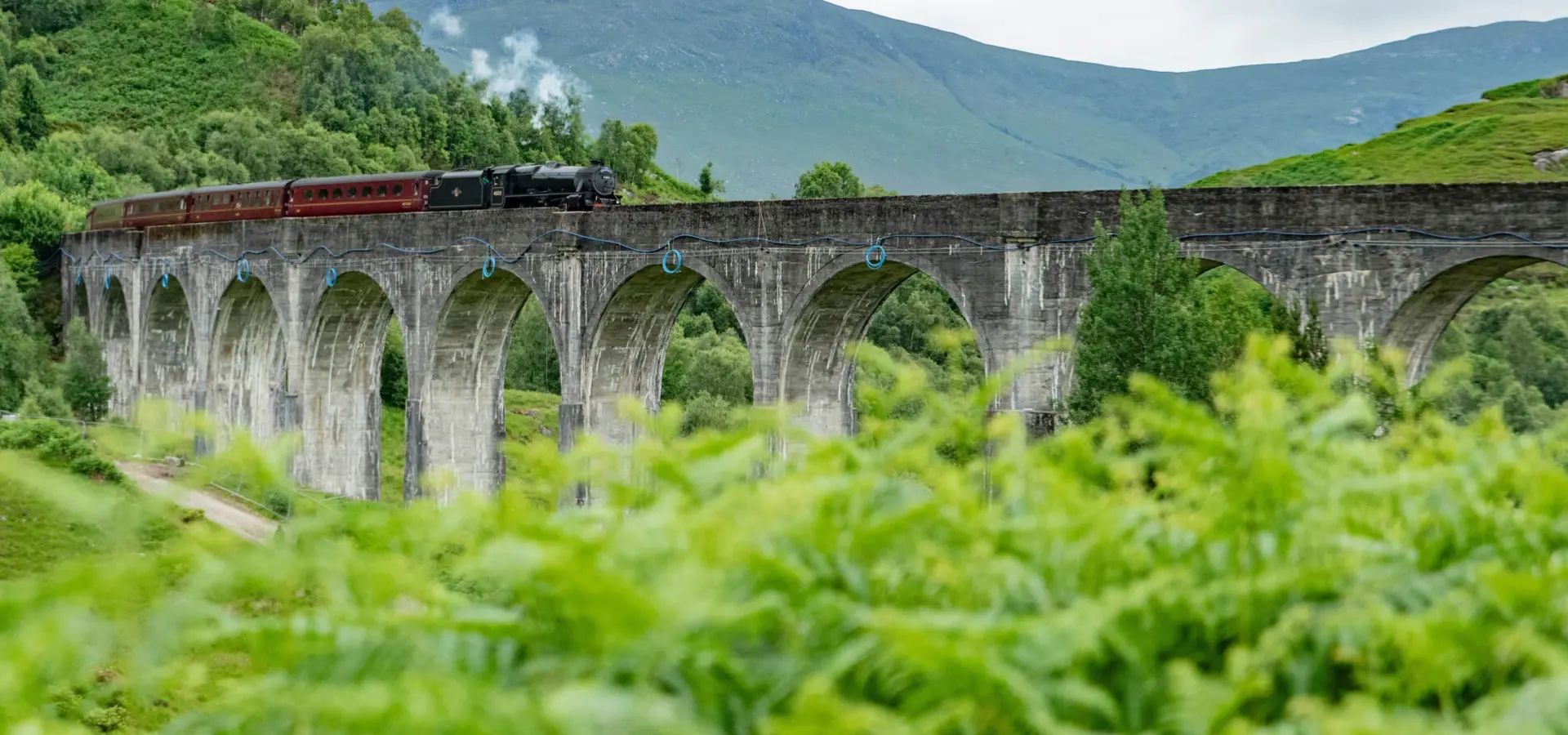 1769427749578sean ferigan igop6veqmjg unsplash