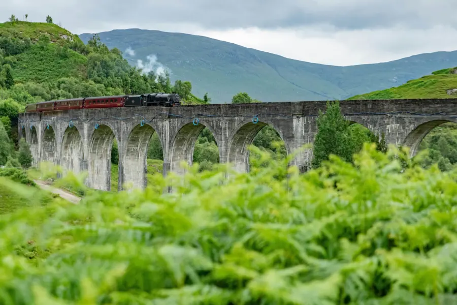 1769427749578sean ferigan igop6veqmjg unsplash