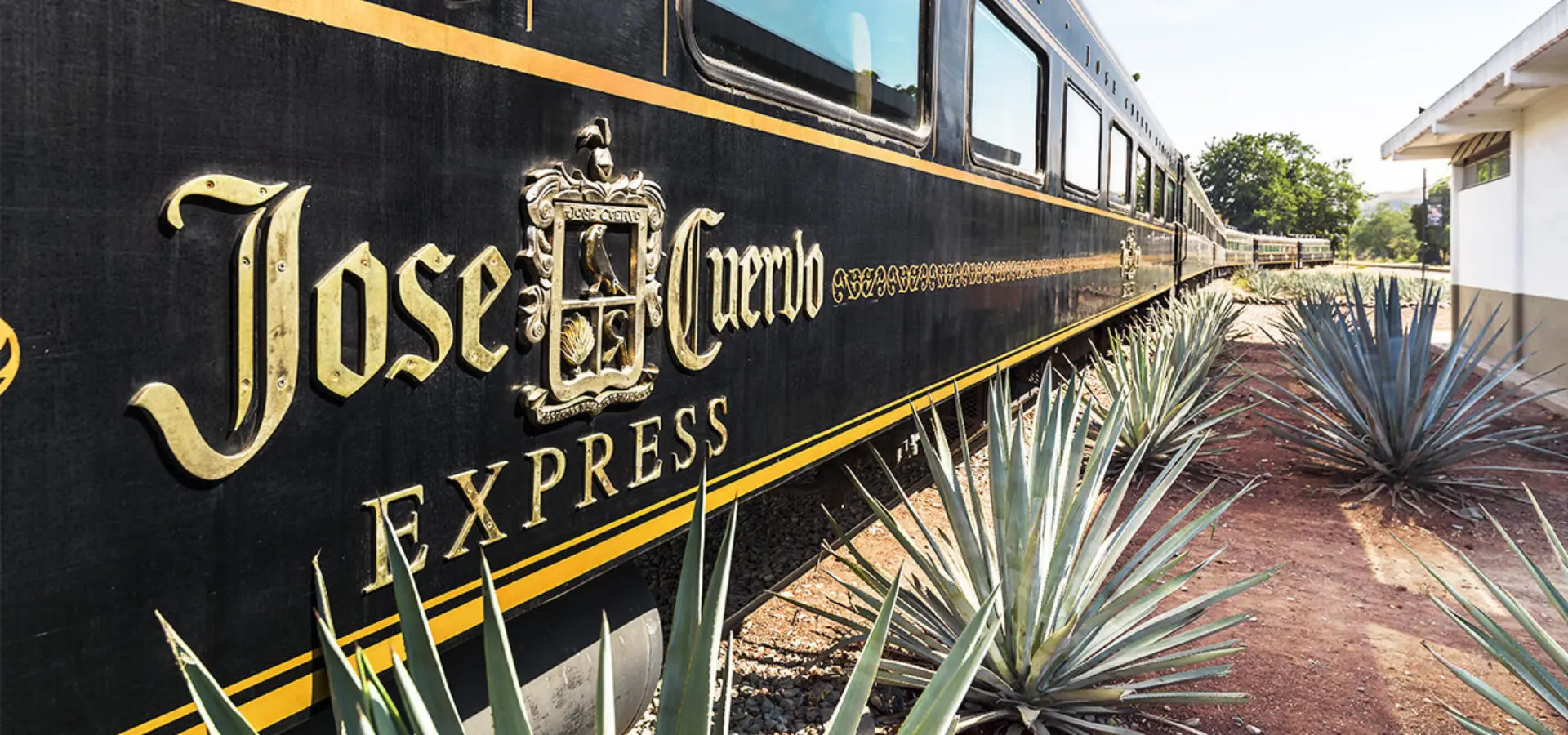 Jose cuervo express