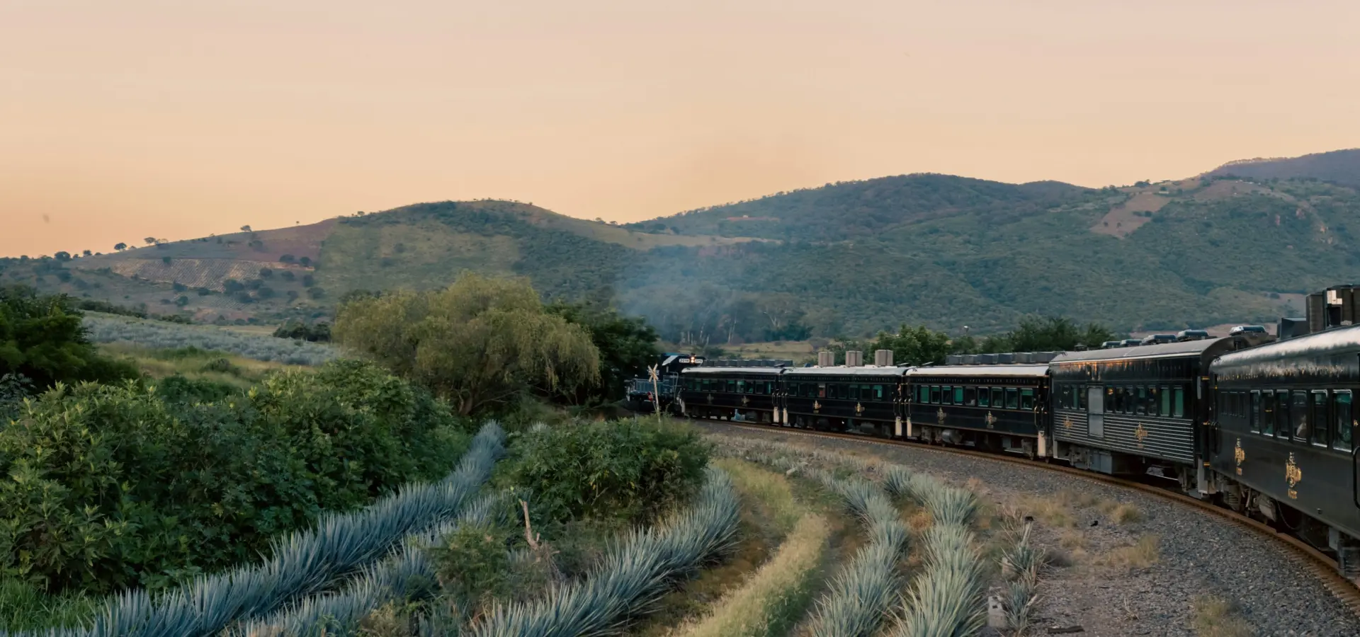 Roger ce 91inlmpnz7m unsplash