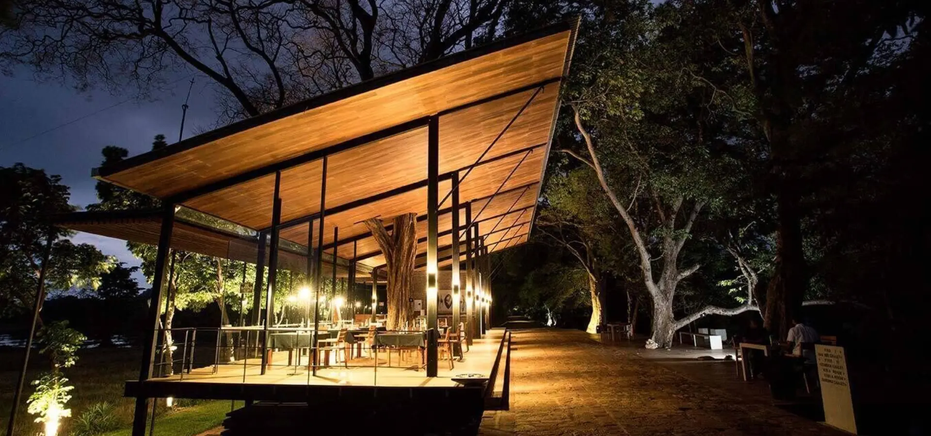 1773119186374tree house new header 3