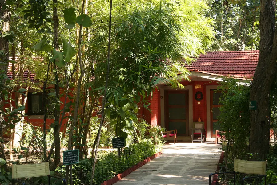 India kanha kanha jungle lodge bungalows 1