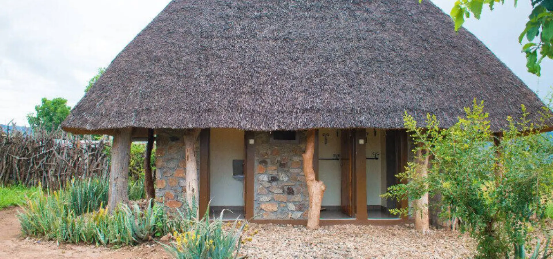 Dsc 1561 edited pixlr edited pixlr