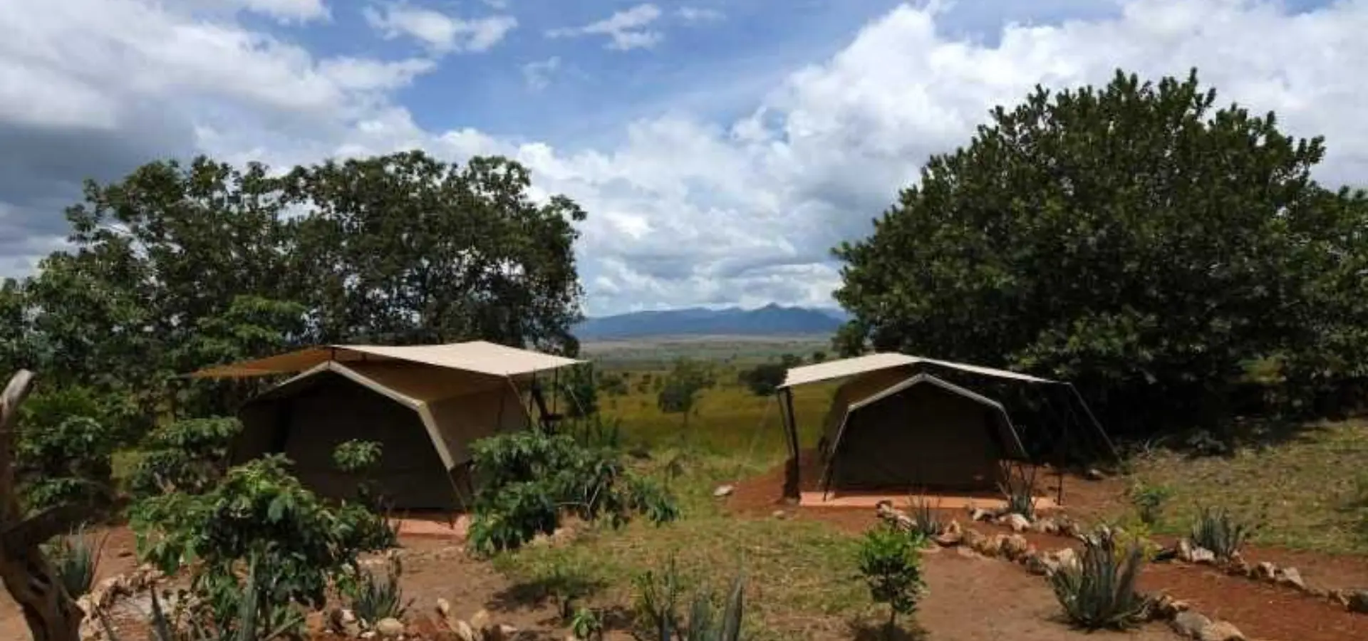 Dsc 0870 edited pixlr edited pixlr