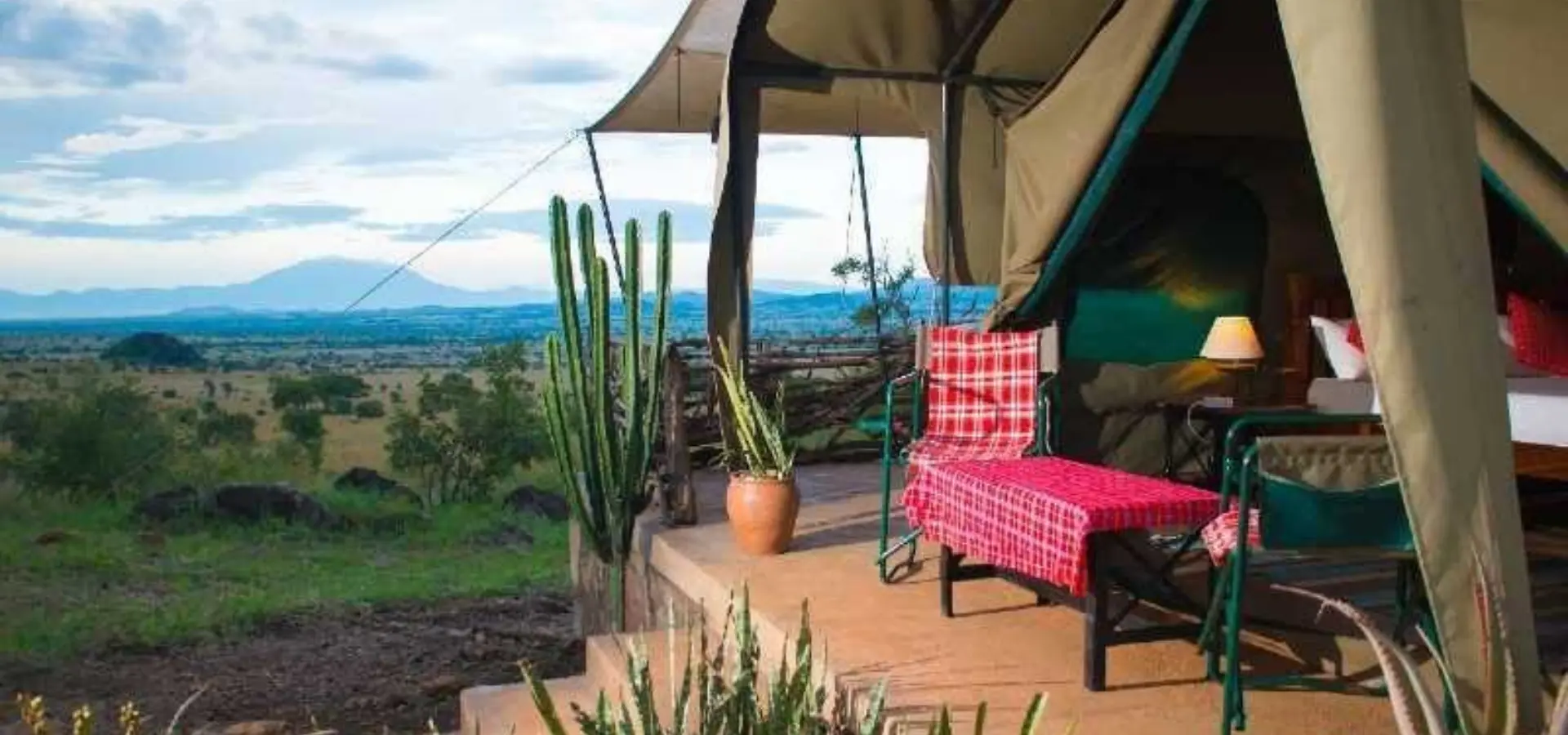 Dsc 1113 edited pixlr edited pixlr