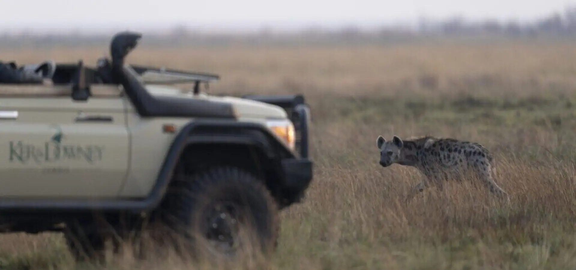 Ker Downey Zambia KLL Game Drive Andy Mac September 2025 HR 1 1024x683