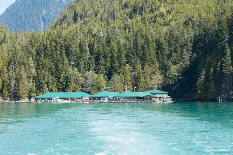 Knight inlet lodge 5