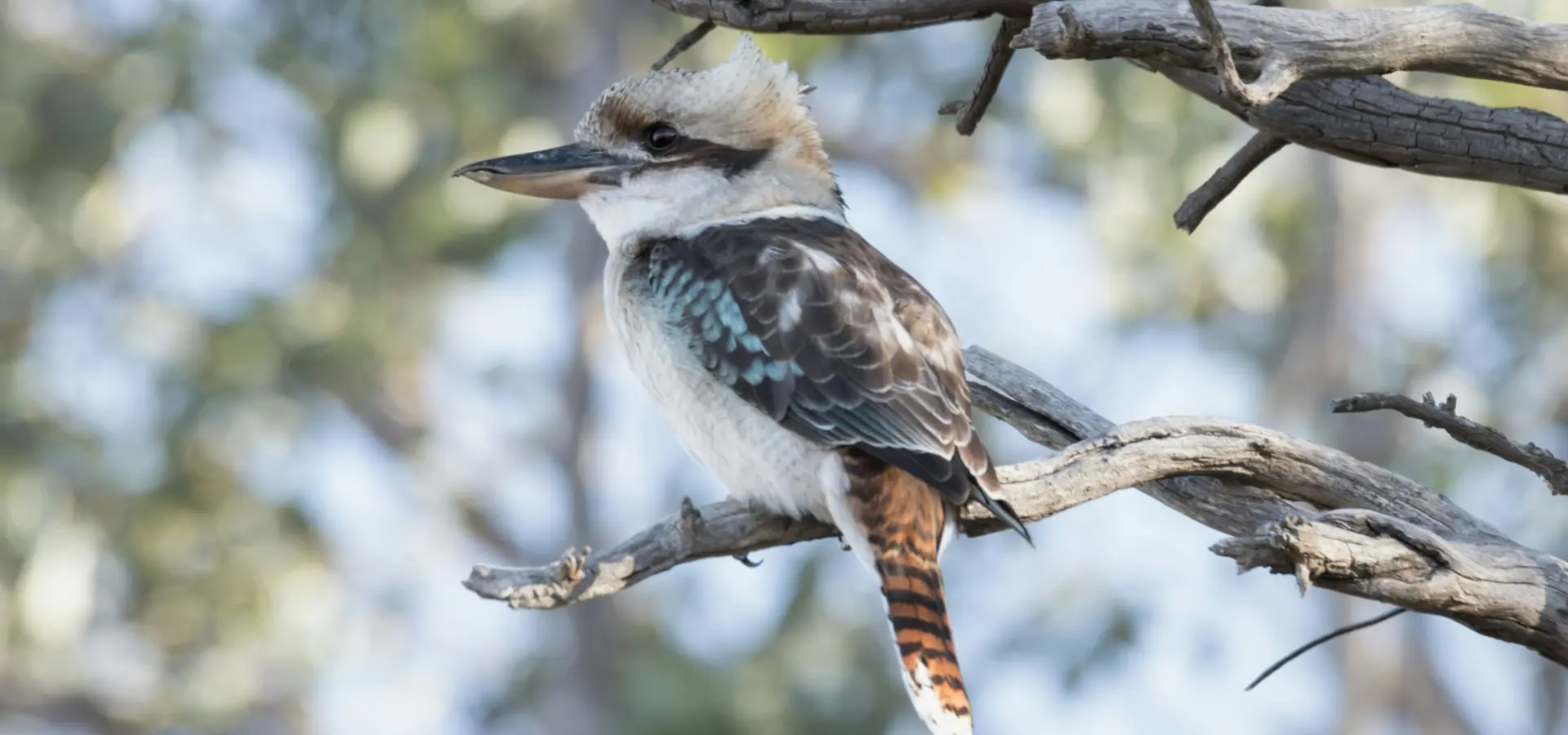 1765547473544matthew willimott 2eelyutyakm unsplash