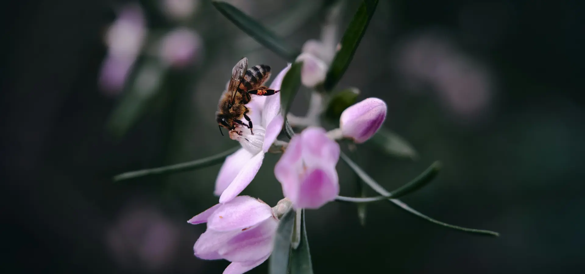 1765547473545gilberto olimpio qa2fvwblsjk unsplash