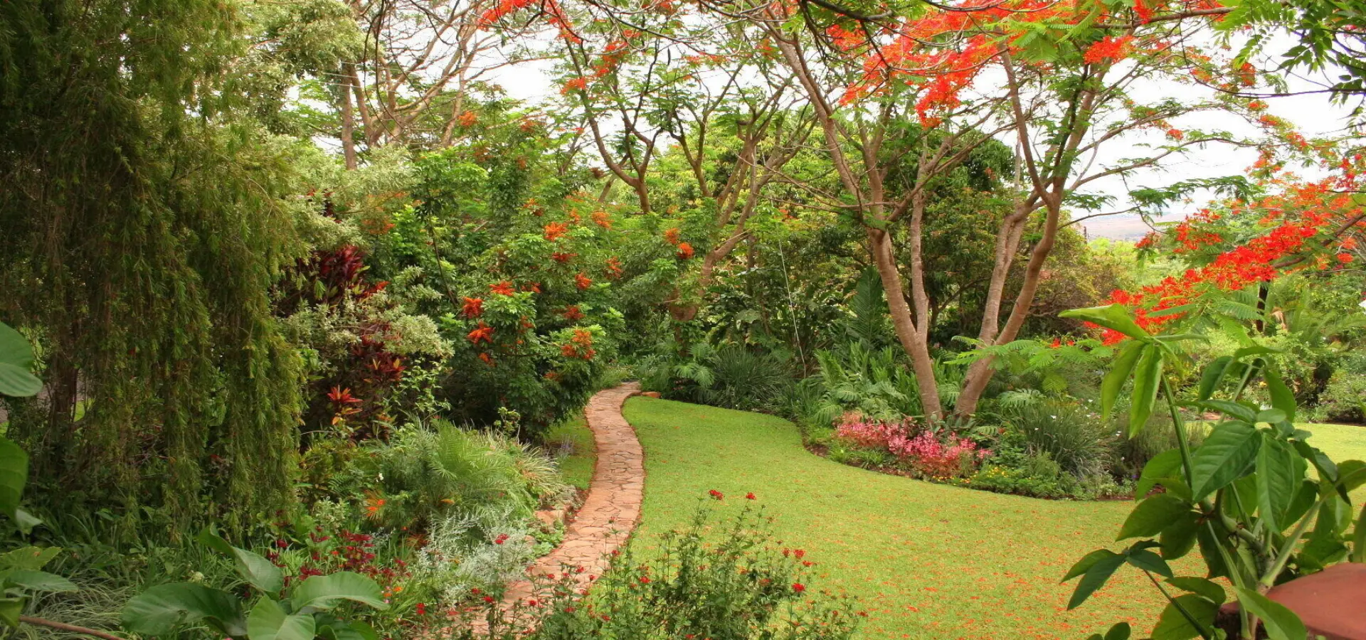 Garden path 27 oct 07