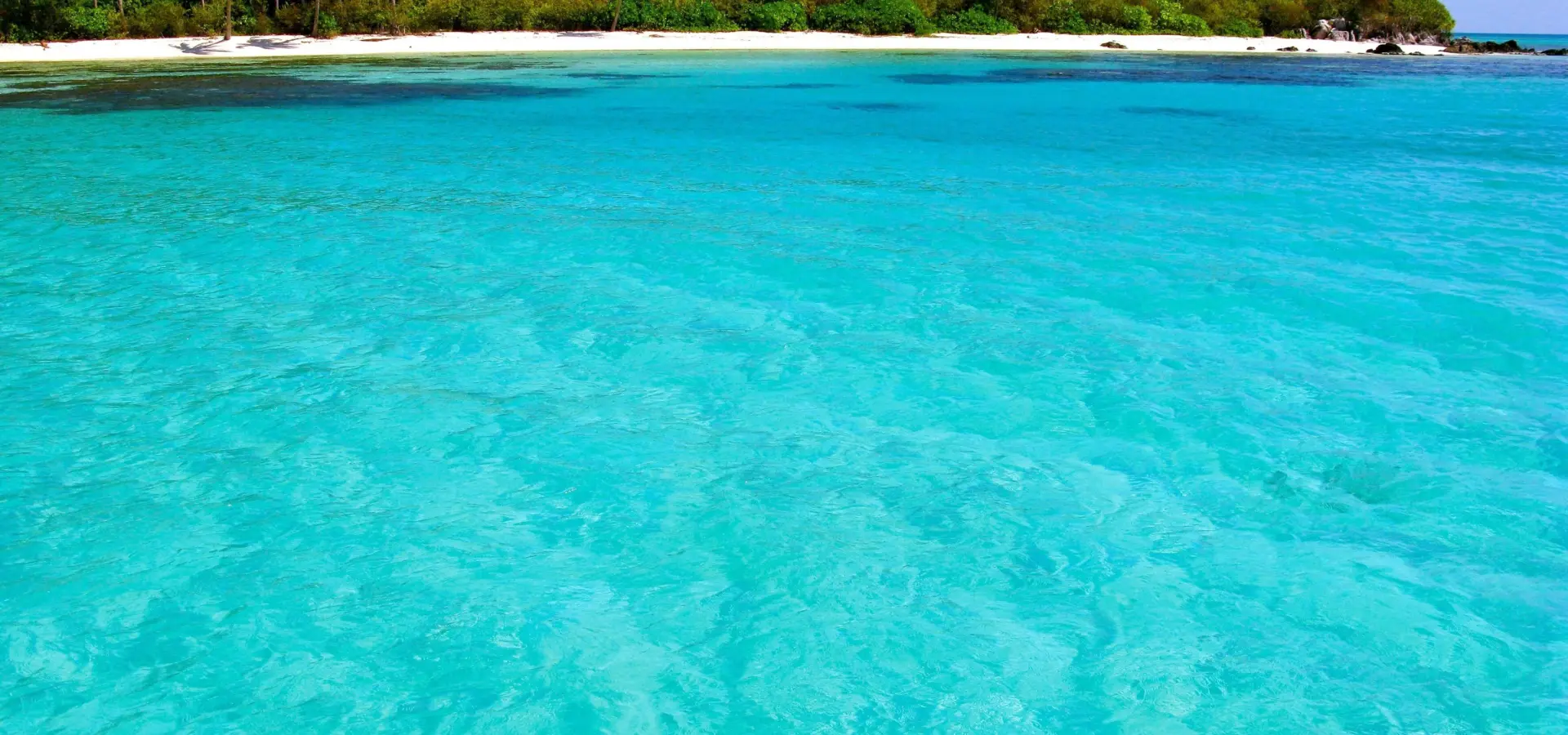 Kura kura resort iii