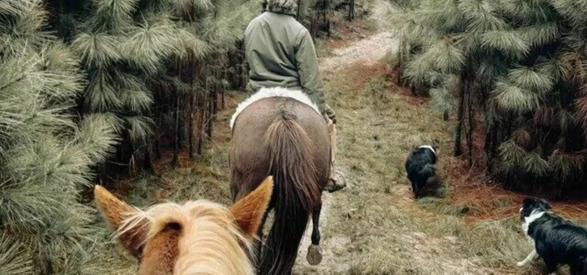 Cabalgatas5