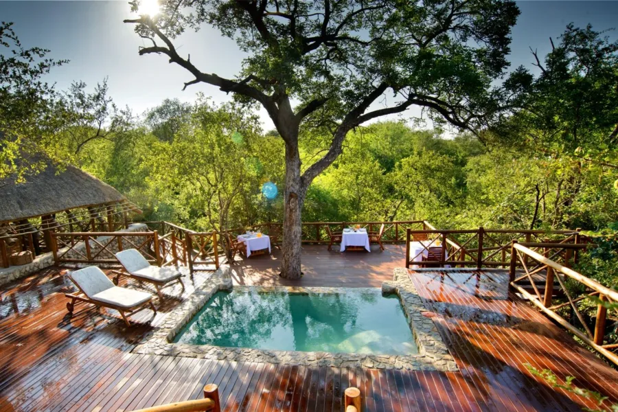00 Marula Tree Infinity Pool