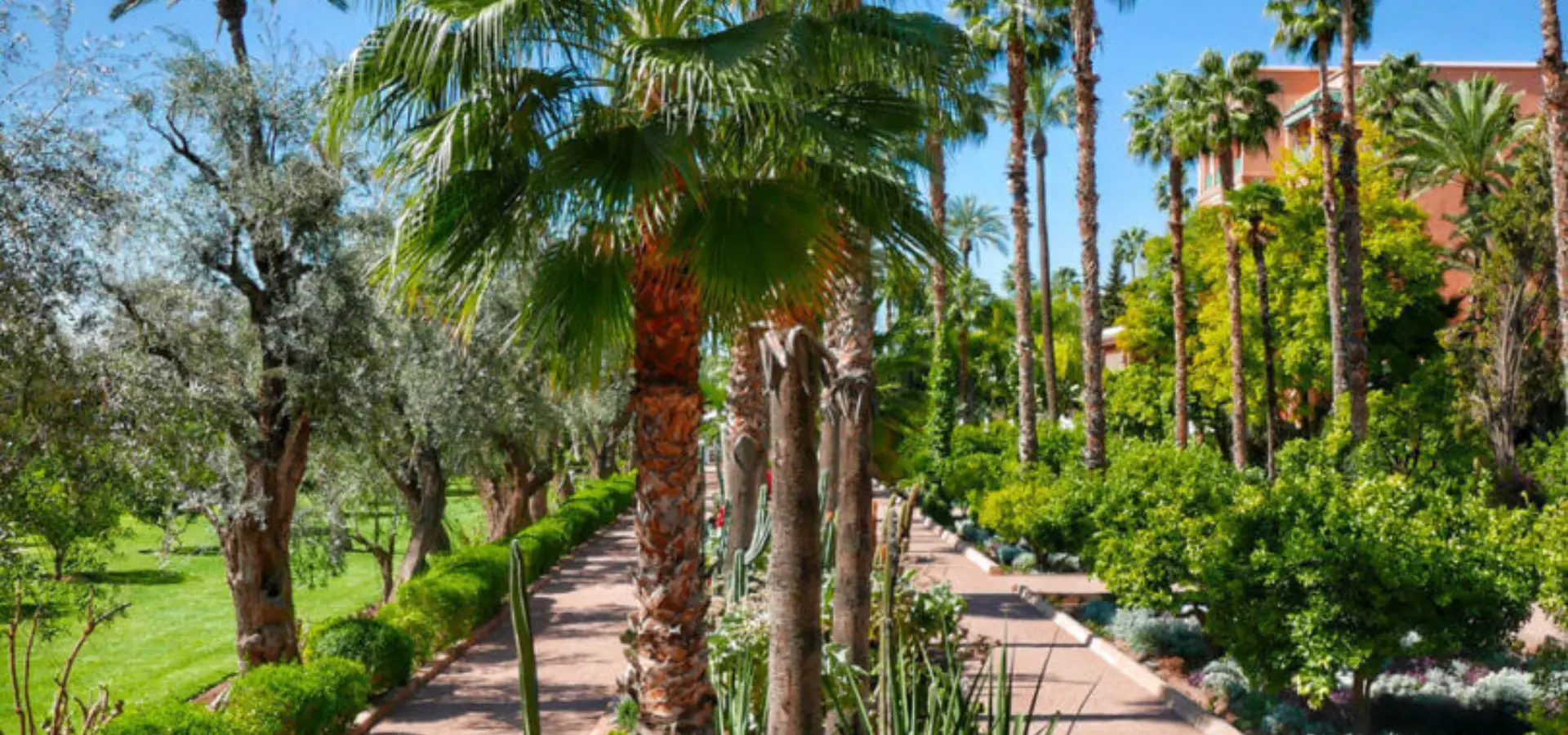 A inserer 3 811x1080