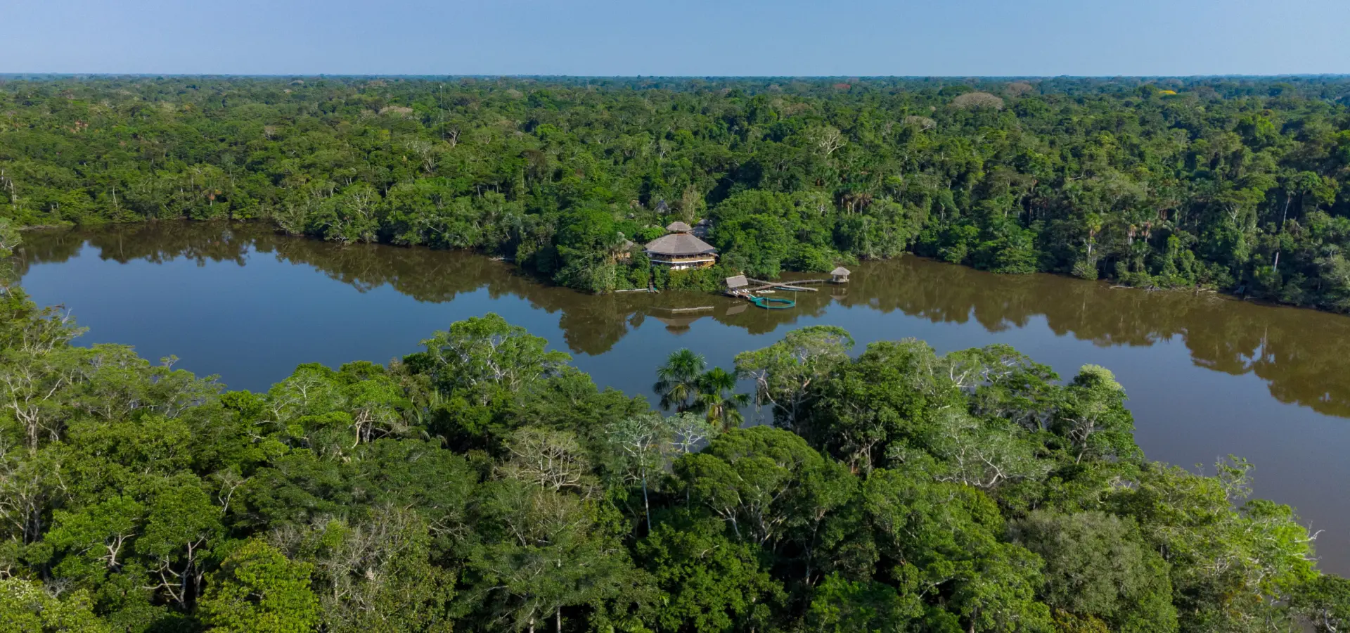 La selva 14
