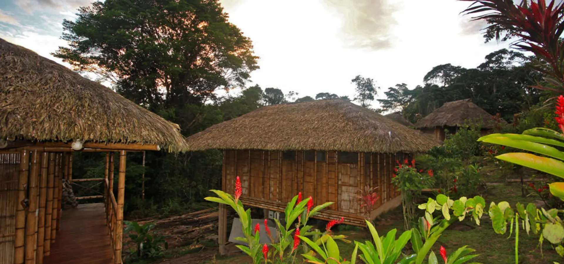 La selva lodge cabins