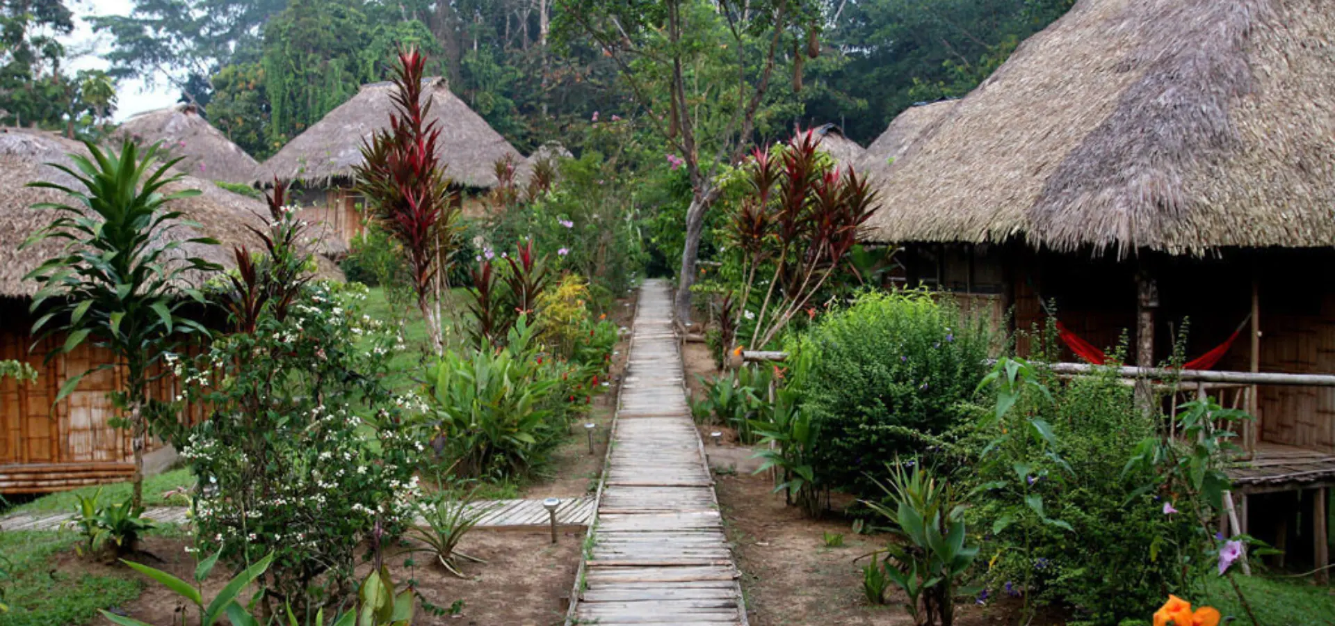 La selva lodge cabins 2