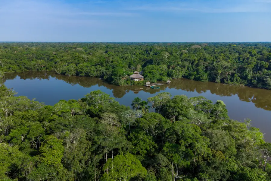 La selva 14