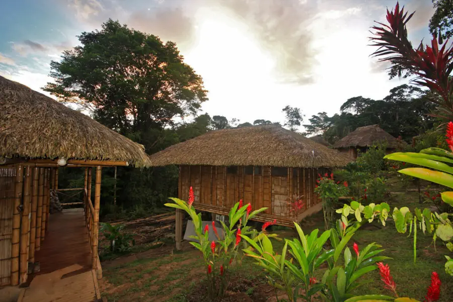 La selva lodge cabins