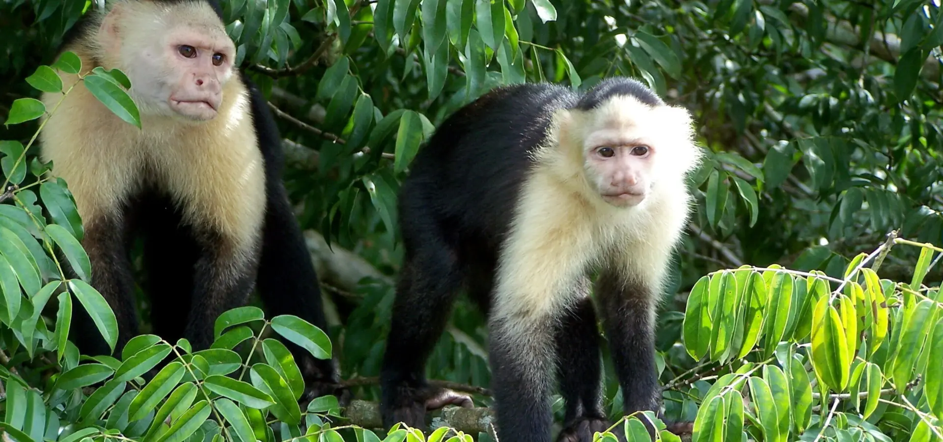 Shutterstock 383854393