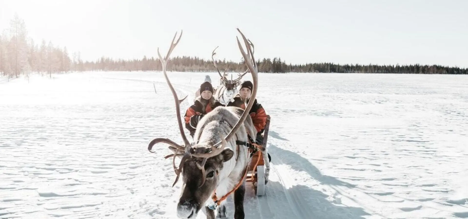 C4a2163a aa13 4ec7 94cb 60cbdde5aab2