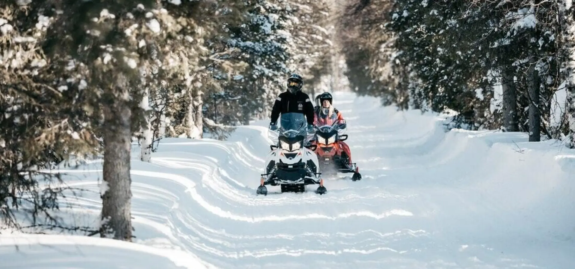 Abb332da 656c 4dd5 b55c 85bc2016c5f9