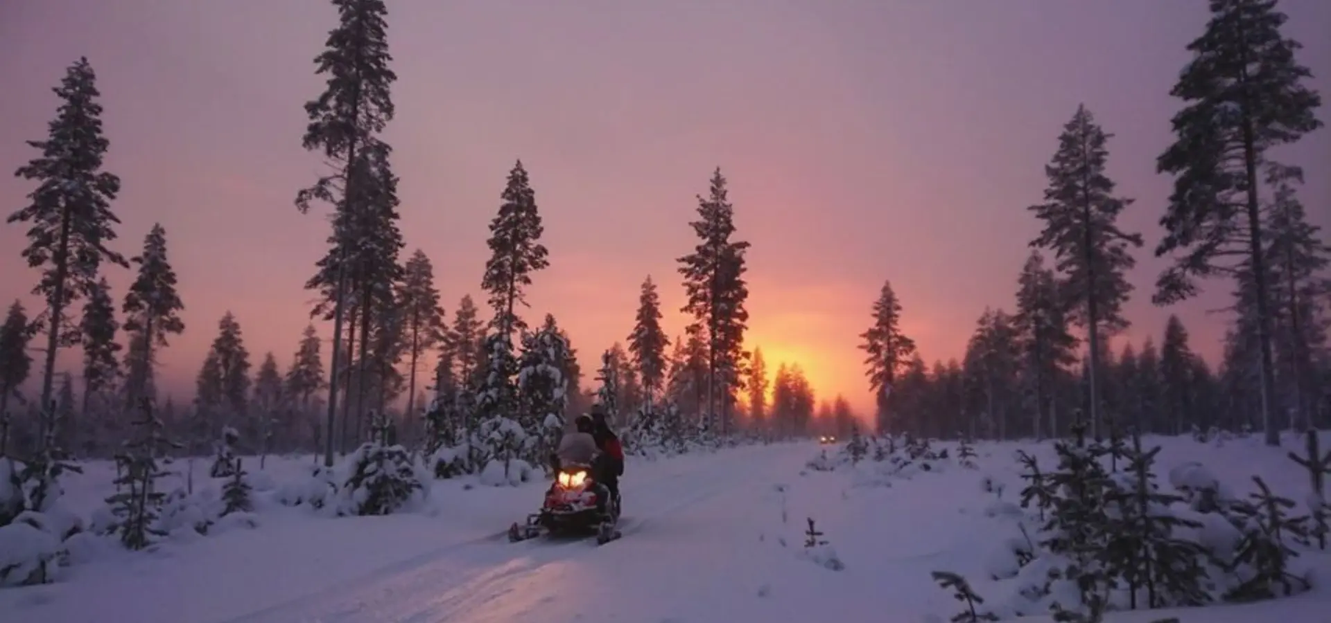 49575838 10156861746374659 5263238535825063936 o