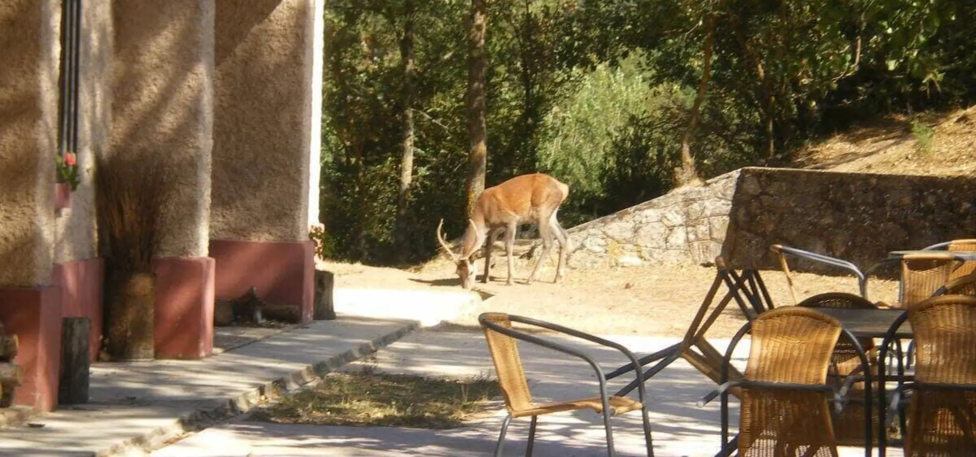 Zonas comunes casas del salto 3