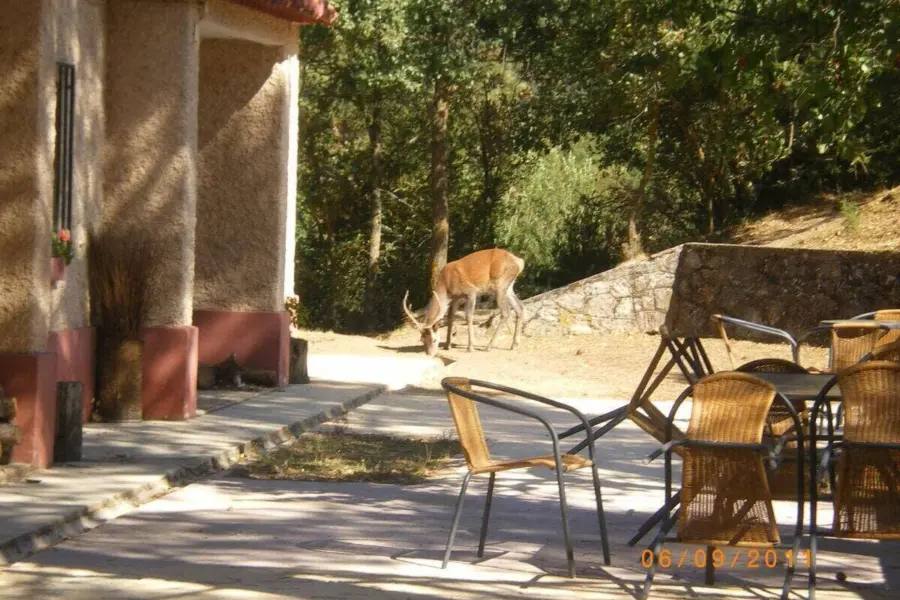 Zonas comunes casas del salto 3
