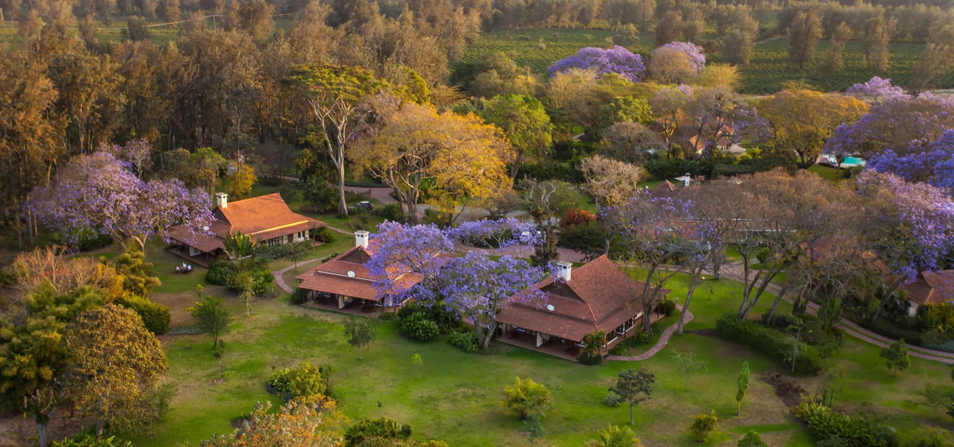 2 legendary lodge aerial view 52