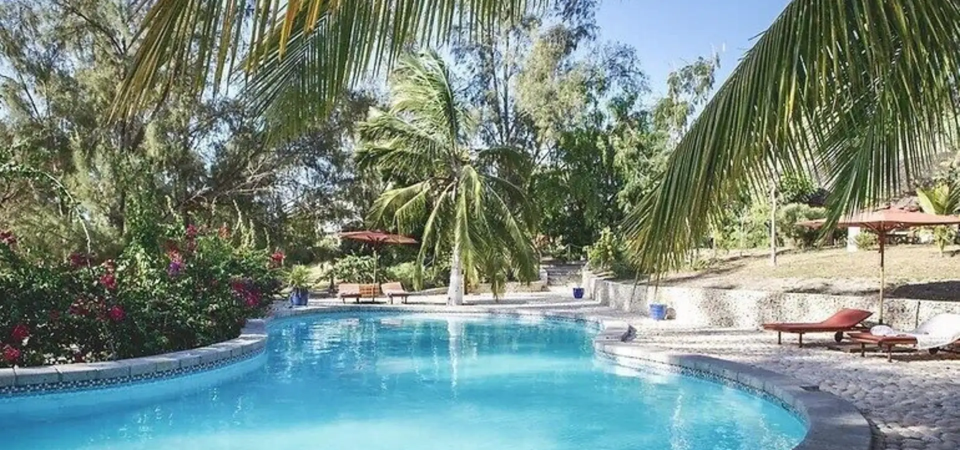 1738766682737 c12948 c72add4132f14712aaf5f26cd5098cc2mv2