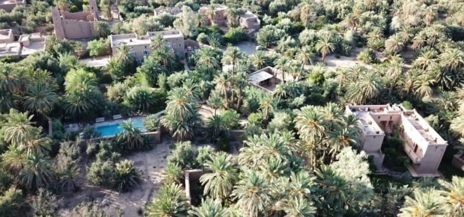 Jhpsl3efyzuyrsmjguwx1