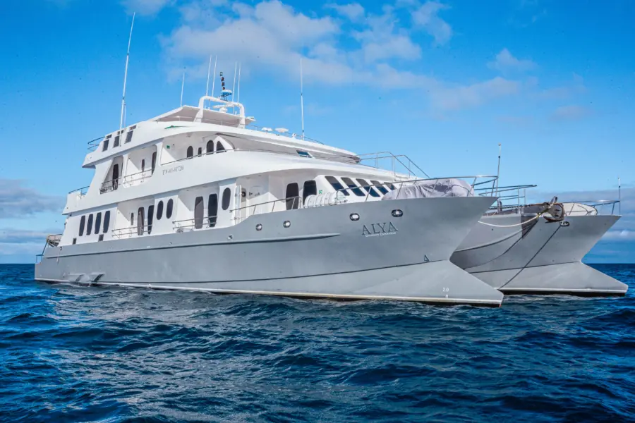 Alya exterior 04 0 2