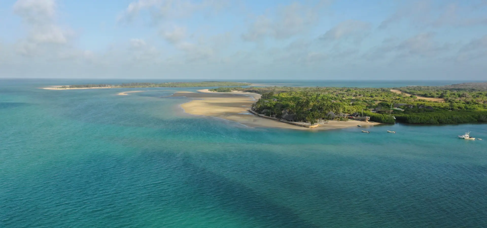 Dji 02181