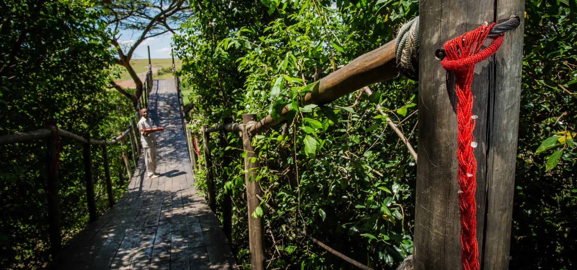 E2016 gp maraplains alh 097