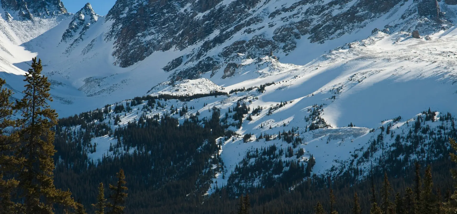 1763748705526jasper guy tfwjfjjtz3o unsplash